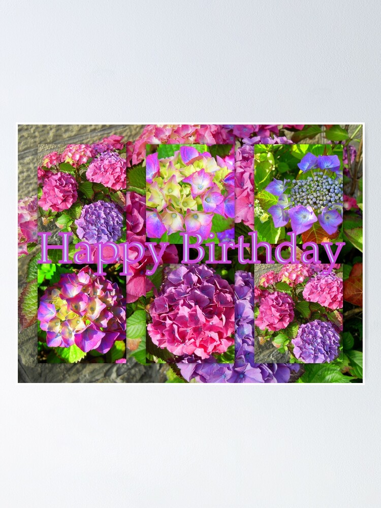 “Happy Birthday Hydrangeas” Poster by angel1 | Redbubble