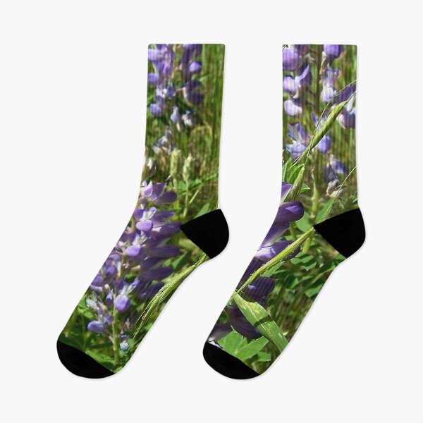 Item preview, Lupines in the mountains, Snow Bowl , Arizona designed and sold by Douglas E. Welch Design and Photography.
