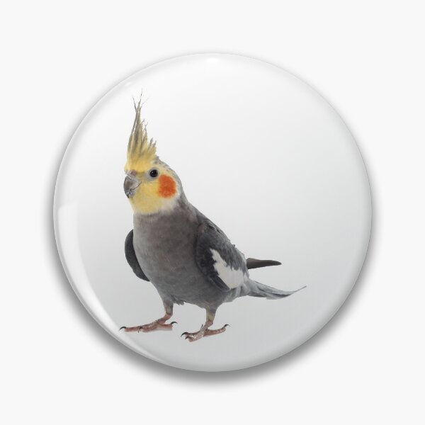 Item preview, Cockatiel designed and sold by DoodleDashCollective.
