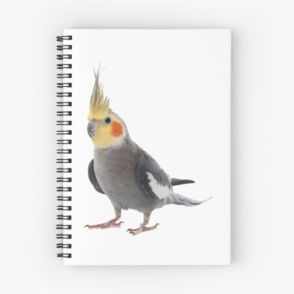 Item preview, Cockatiel designed and sold by DoodleDashCollective.