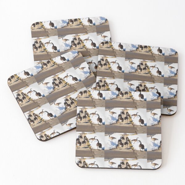 Item preview, We have the right of way, pedestrians! designed and sold by Joel Bader.