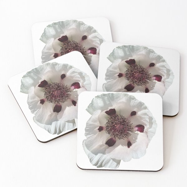 Item preview, Amapola Flor Blanca Bodegón Fotografía Floral designed and sold by CottoVerdi.