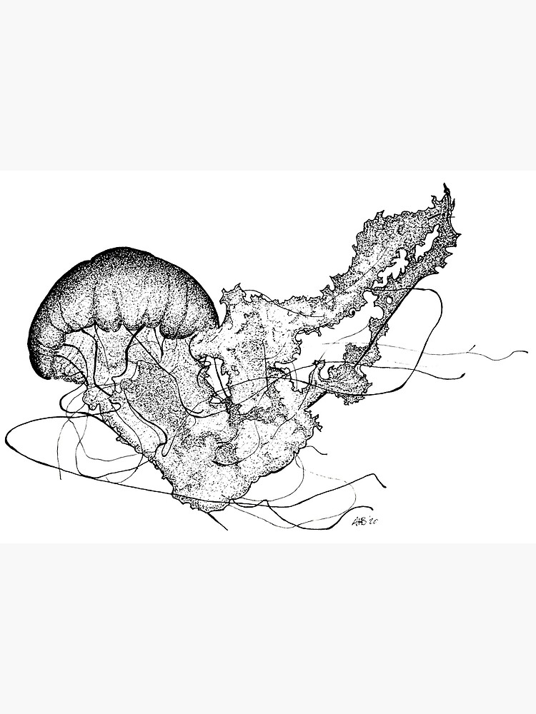 "Jellyfish Pen and ink artwork " Art Print for Sale by AdamBartosik