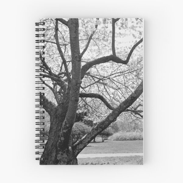 Artikelvorschau, Ein blühender Baum im Frühling entworfen und verkauft von KellyRHarding.