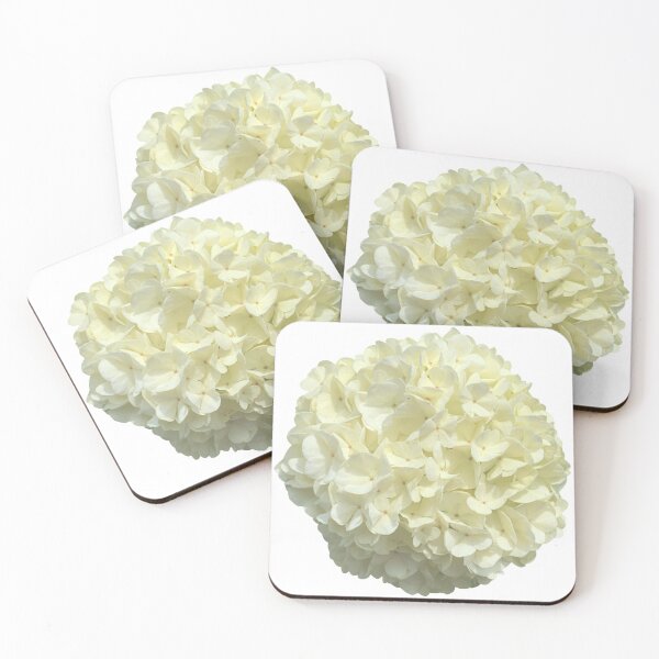 Item preview, Flor blanca Viburnum Bodegón Fotografía floral designed and sold by CottoVerdi.