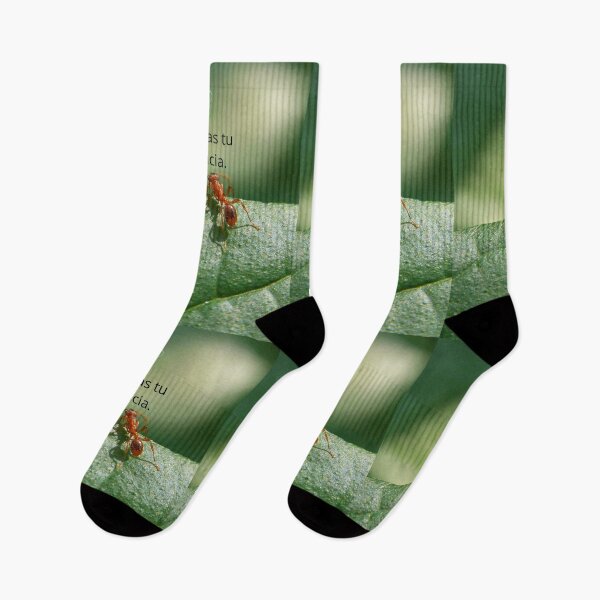 Item preview, Conciencia designed and sold by LibrosBOOKtique.