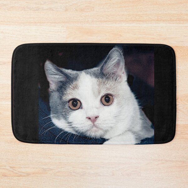 Item preview, r2748/ 9 " avec le Studio Portable Okaio et 3 (bal) flahs Okaio  - Les Chats du temps de l'Argentique - Cats from the time of the film "  (h) Olavia-Olao Okaio Créations designed and sold by o.okaïo.