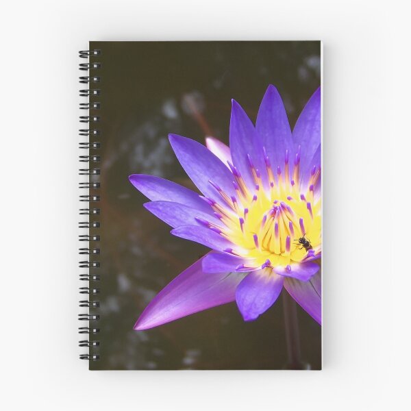 Item preview, A flies in a flower designed and sold by Unai Ileaña.