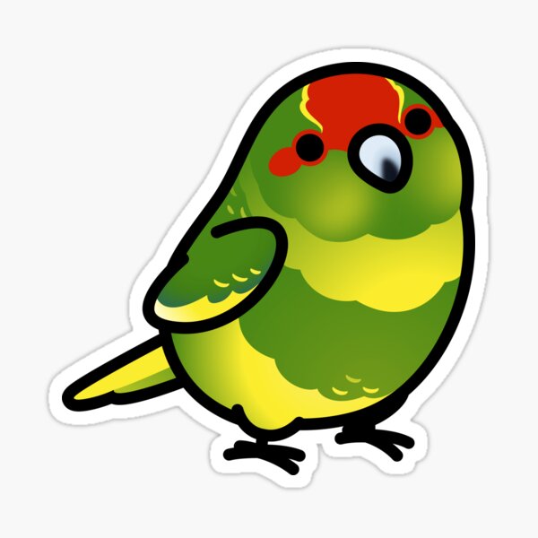Item preview, Chubby Pied Yellow and Green Kakariki designed and sold by birdhism.
