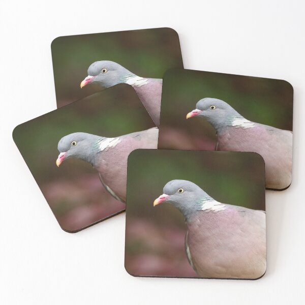 Item preview, Common wood pigeon columba palumbus designed and sold by chanonry.