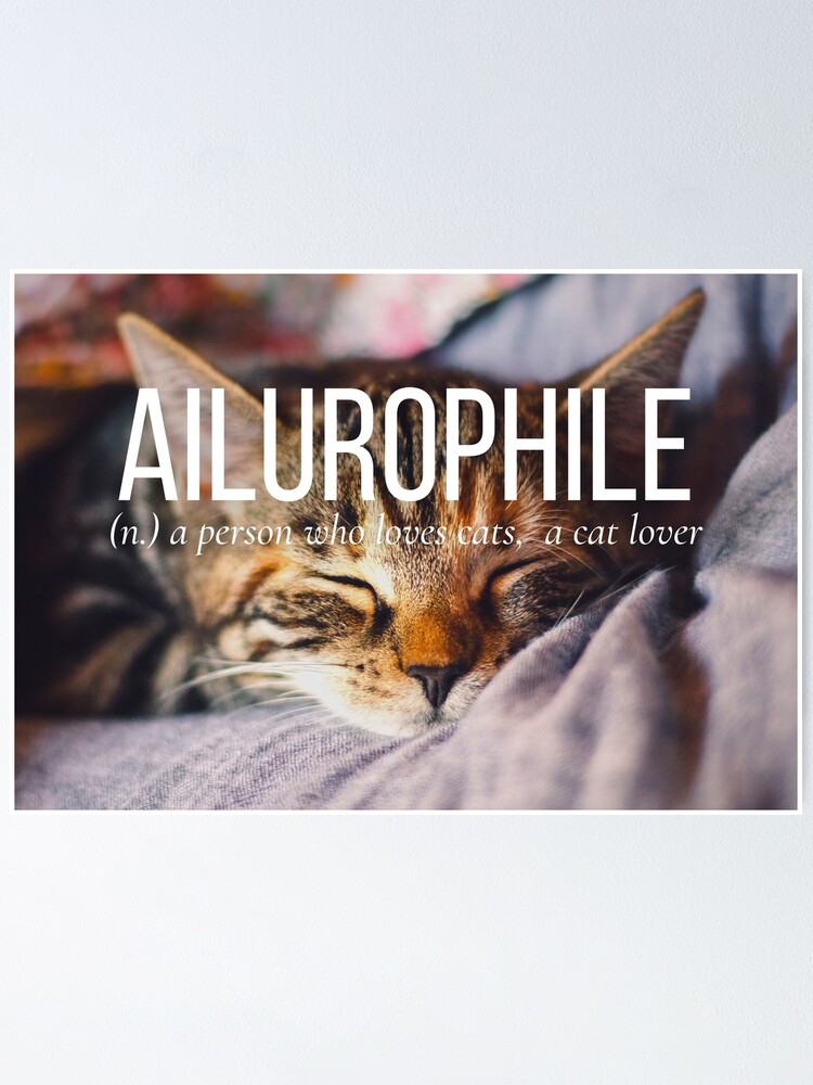 ailurophile-word-meaning-cat-essential-photo-art-poster-by