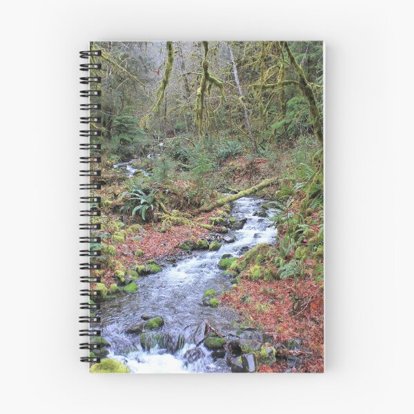Item preview, Creek in the Rainforest designed and sold by Zach Auerbach.