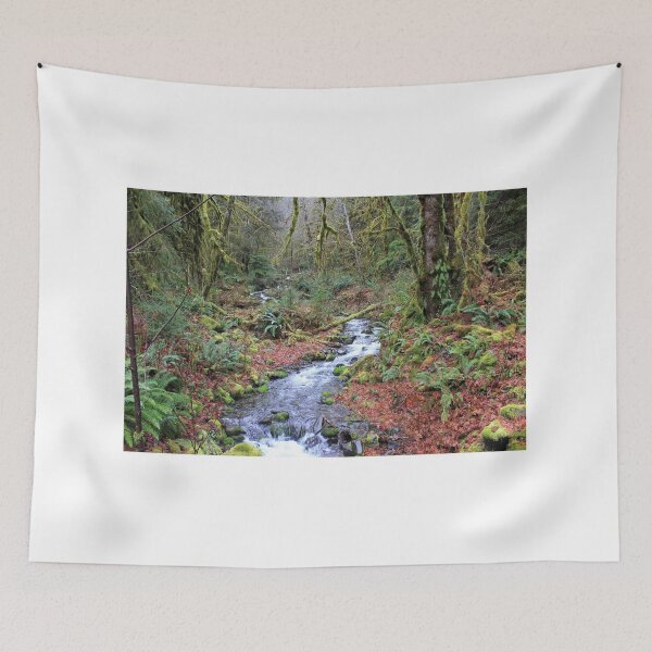 Item preview, Creek in the Rainforest designed and sold by Zach Auerbach.