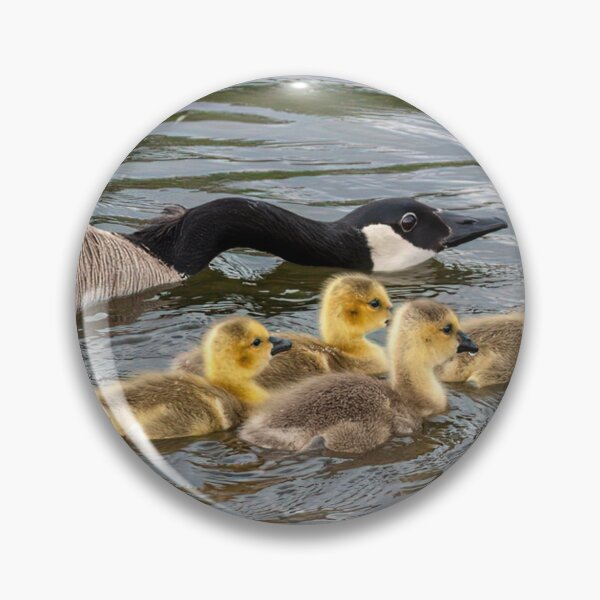 Item preview, Easy don’t go there! designed and sold by naturesdreams.
