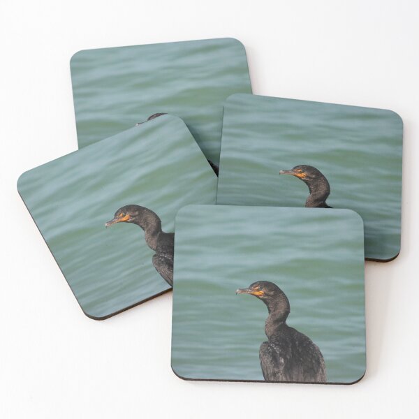 Item preview, Blue eyed Cormorant designed and sold by Zach Auerbach.