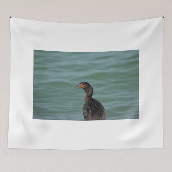 Item preview, Blue eyed Cormorant designed and sold by Zach Auerbach.