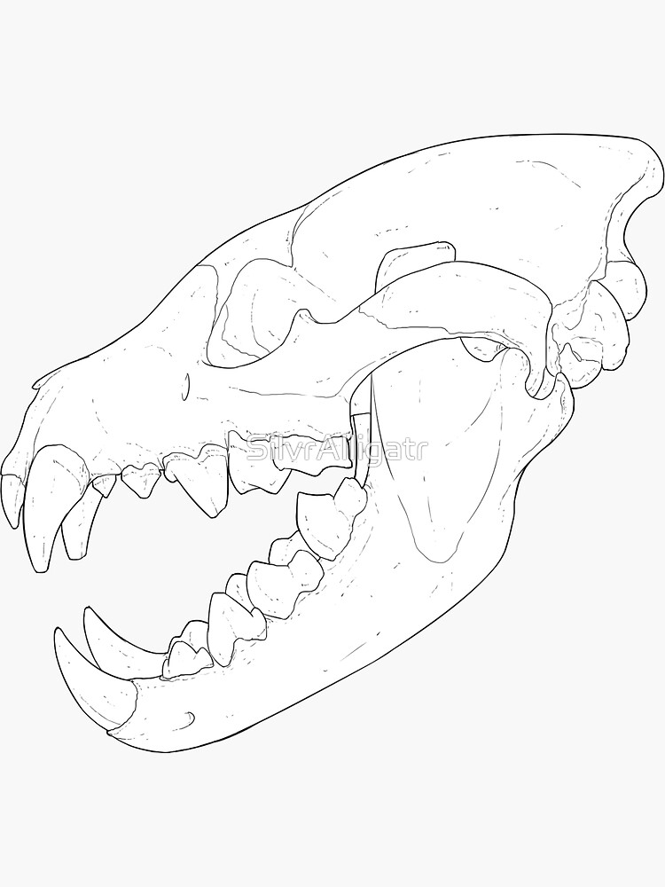 "Spotted Hyena Skull Sticker" Sticker for Sale by T-VR | Redbubble