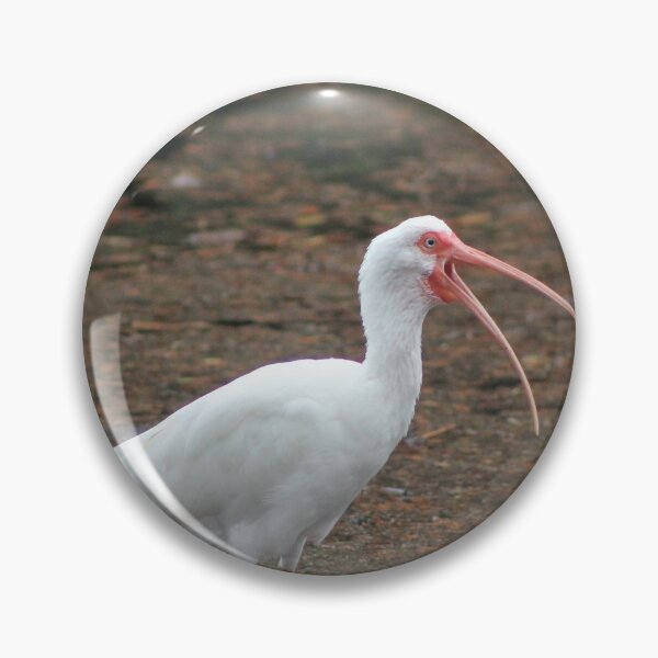 Item preview, Screaming Ibis designed and sold by Zach Auerbach.