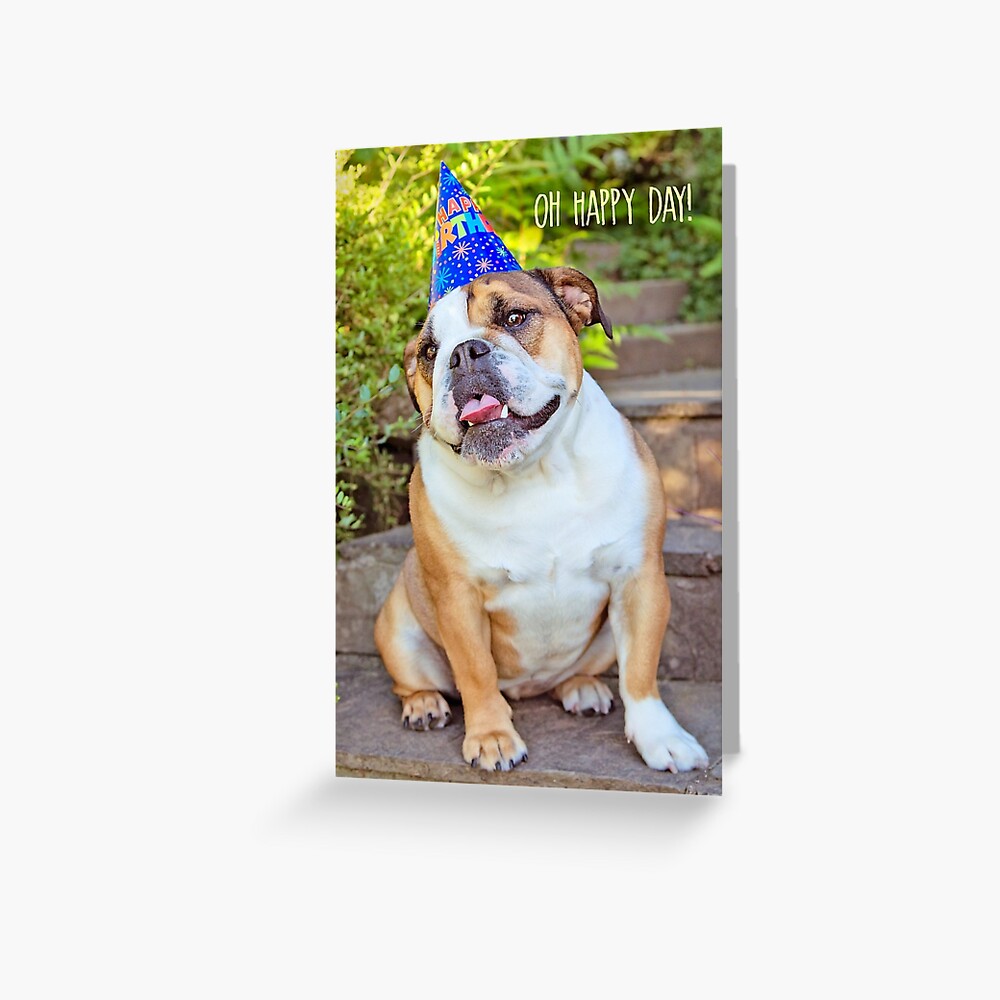 Oh Happy Day Greeting Card