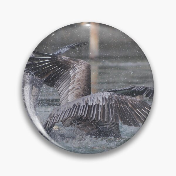 Item preview, Pelicans without Heads designed and sold by Zach Auerbach.