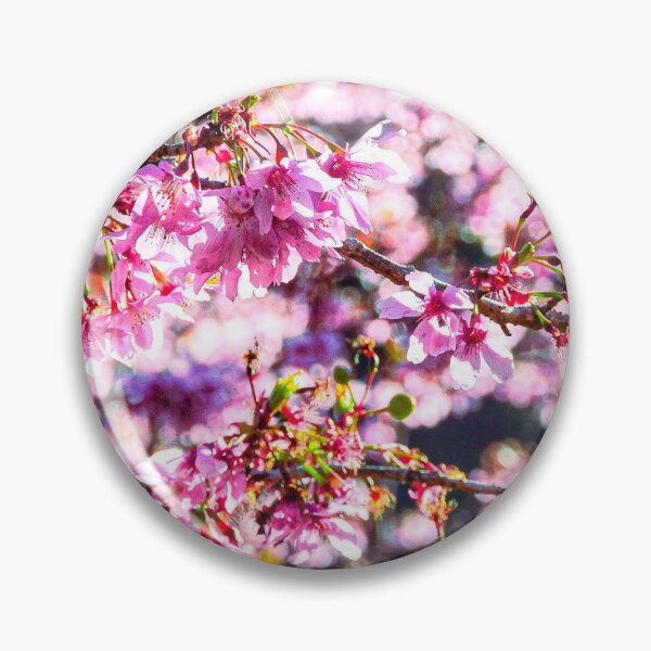 Artikelvorschau, Schöne Kirschblüten in Taiwan entworfen und verkauft von Sylvia Wong.