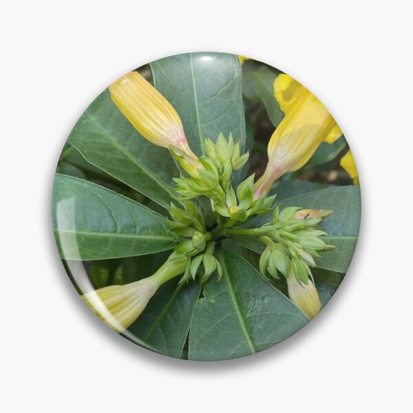 Item preview, Budding Yellow Flowers on Green Leaves designed and sold by Sinemathk.