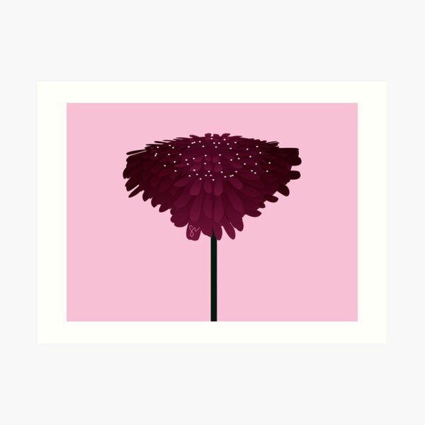 Scabiosa Art Print