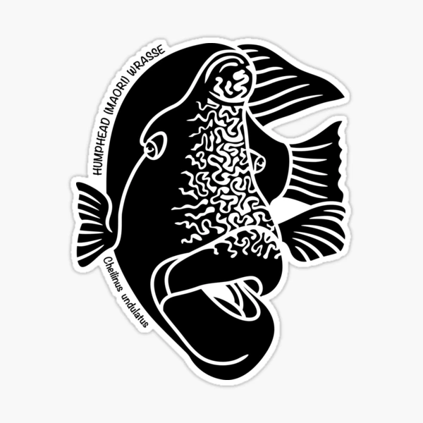 Maori Wrasse Australian Ocean Animal Silhouette with name. Sticker for Sale  by BOLD-Australia