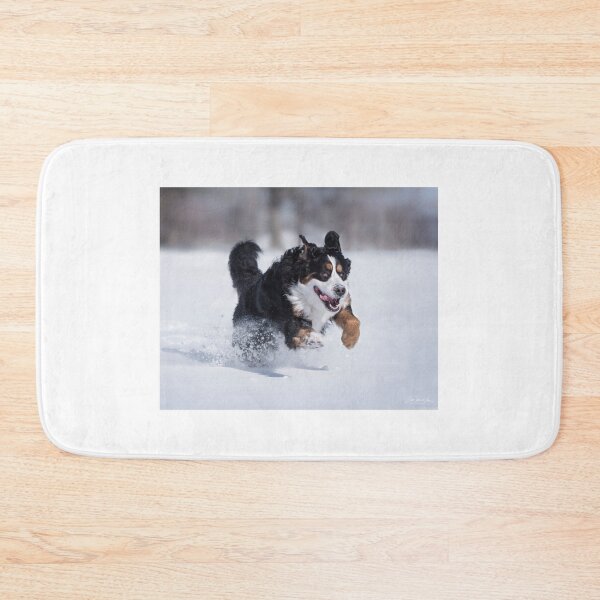 Item preview, Bernese Mountain dog in snow designed and sold by (Tallow) Dave  Van de Laar.