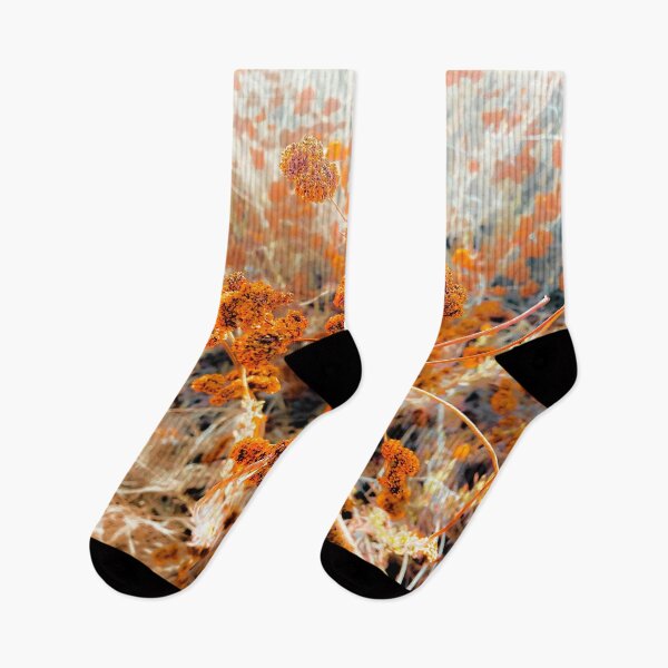 Item preview, Flores silvestres marrones secas con fondo de hierba seca designed and sold by Mrvell.