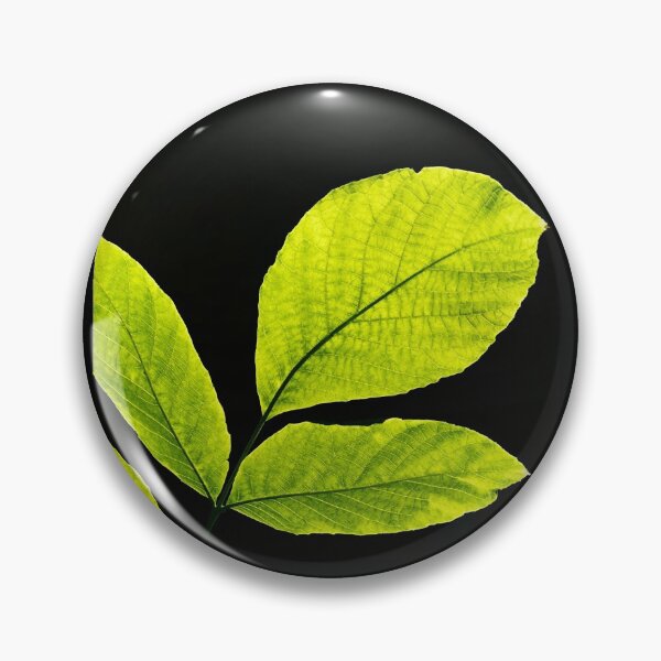 Item preview, Light Shiny Green Leaf in Dark Background designed and sold by Young Gyu Kim.