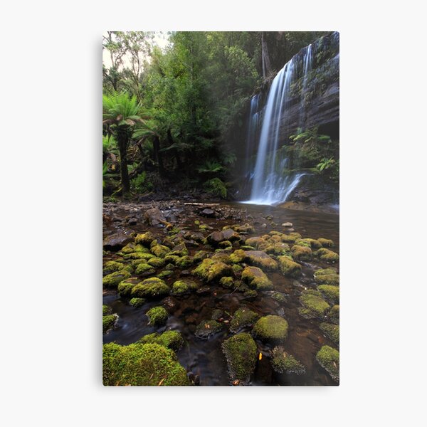 Enchanted Forest Metal Print