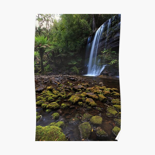 Enchanted Forest Poster