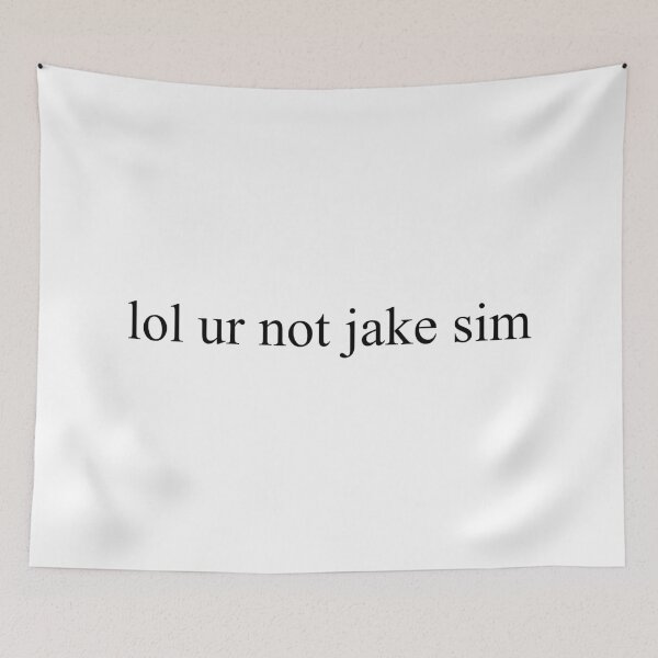 Item preview, lol ur not jake sim designed and sold by enhypening.