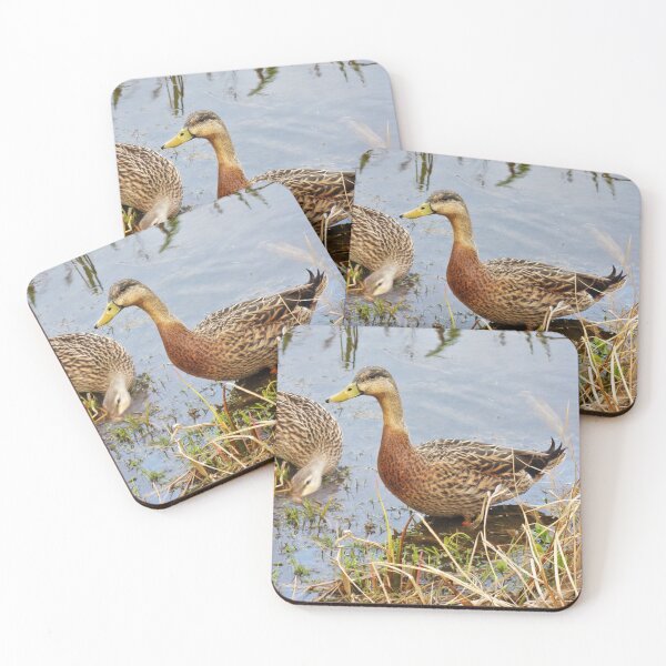 Item preview, Sweet Duck Couple Out for Lunch designed and sold by toddbrooney.