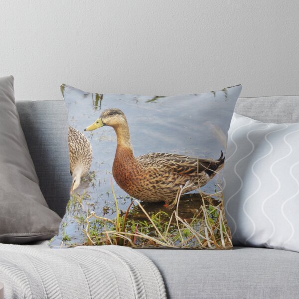 Item preview, Sweet Duck Couple Out for Lunch designed and sold by toddbrooney.