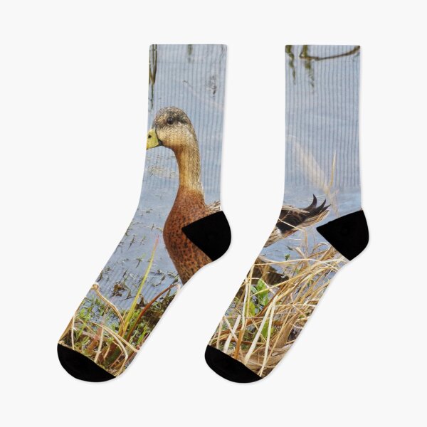 Item preview, Sweet Duck Couple Out for Lunch designed and sold by toddbrooney.