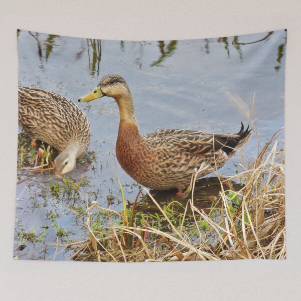 Item preview, Sweet Duck Couple Out for Lunch designed and sold by toddbrooney.