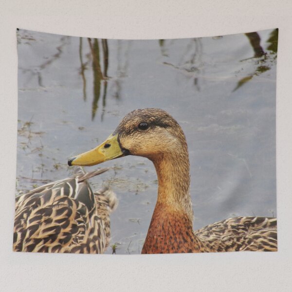 Item preview, Smiling Little Duck Face designed and sold by toddbrooney.