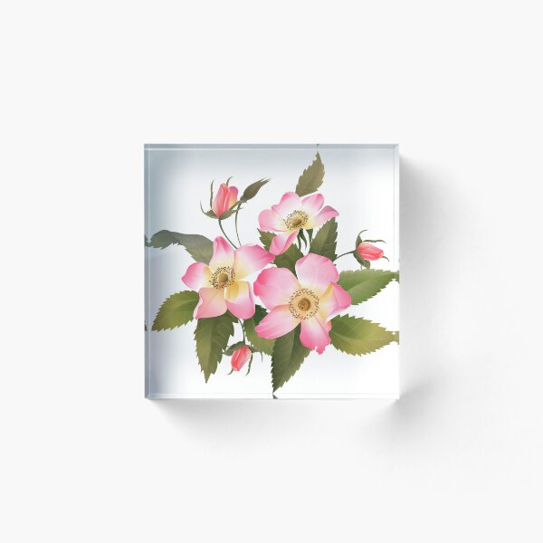 Artikelvorschau, Wilde Rosen Blume entworfen und verkauft von WeeraS.