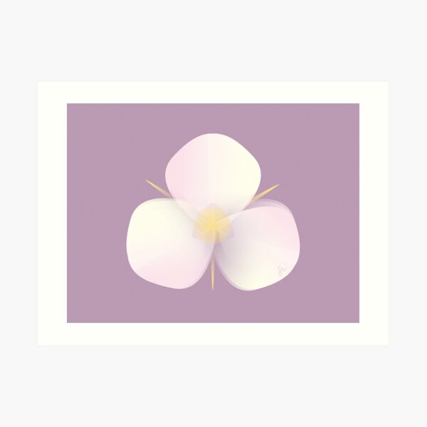Mariposa Lily Art Print