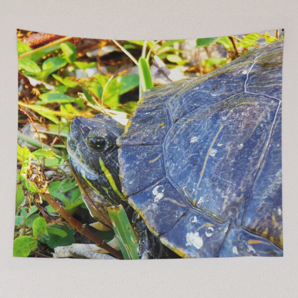 Item preview, Tiny Smiling Little Turtle Face designed and sold by toddbrooney.
