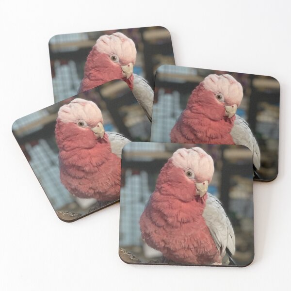 Item preview, Cheeky Galah Cockatoo with cranberry on his beak designed and sold by renprovo.