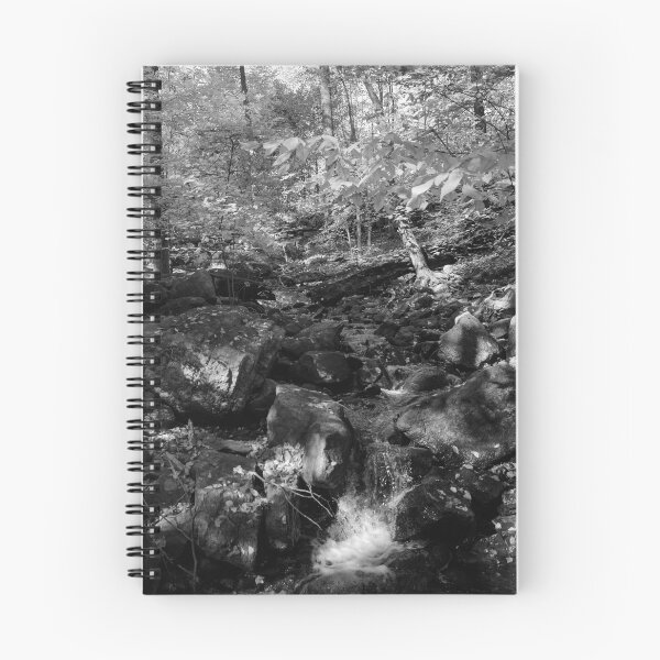 Aperçu de l'œuvre Cascade paisible en forêt créée et vendue par KellyRHarding.