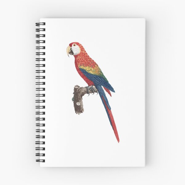 Item preview, Parrot Ara designed and sold by lsepolis123.
