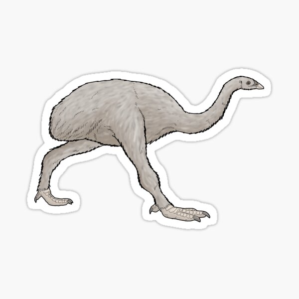 Artikel-Vorschau von Megalapteryx, das Hochlandmoa, designt und verkauft von WSnyder.