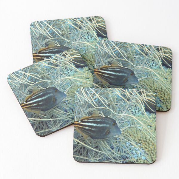 Item preview, Filefish Dreams designed and sold by Mama-Joe.
