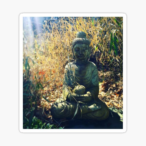 Download Buddha sprueche bilder For Free