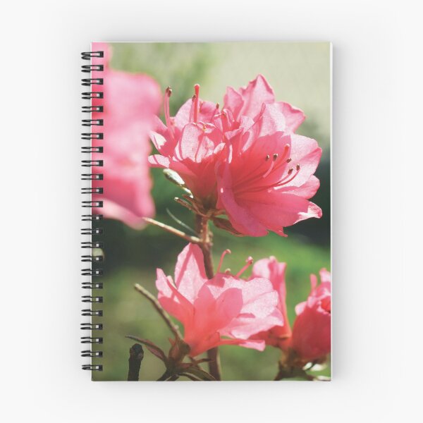 Item preview, Flower Passage (No Black&White) designed and sold by OriginCaptures.