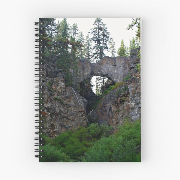 Item preview, Yellowstone Natural Bridge designed and sold by Daniel Coulter.